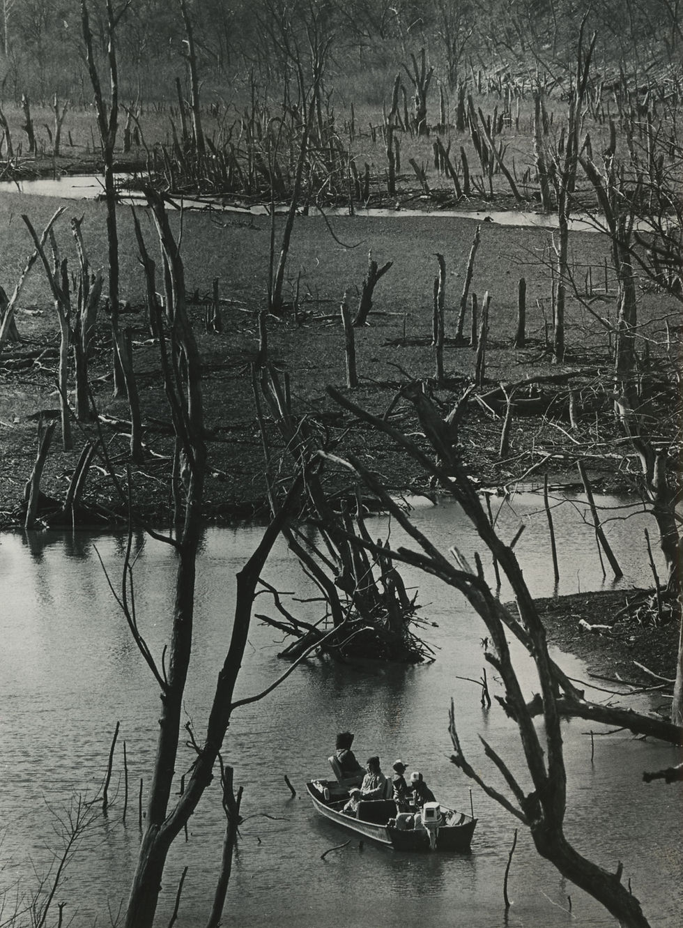 A family fishes in Stockton Lake, March 1981. Prolonged drought conditions exposed stumps and dead trees along the banks of the lake. Image from the From the Darkroom collection.