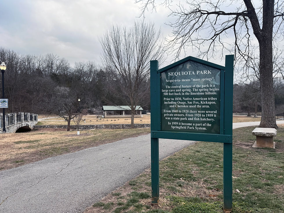 A sign at the entrance of Sequiota Park on an overcast winter day. Geese are visible grazing in the background. The sign reads "Sequiota Park. Se-qui-o-ta means 'many springs'. The central feature of the park is a large cave and spring. The spring begins 500 feet back in the limestone hillside. Prior to 1830, Native American tribes including Osage, Sac, Fox, Kickapoo, and Cherokee used the area. From 1840 to 1920 there were several private owners. From 1920 to 1959 it was a state park and fish hatchery. In 1959 it became a part of the Springfield Park System.