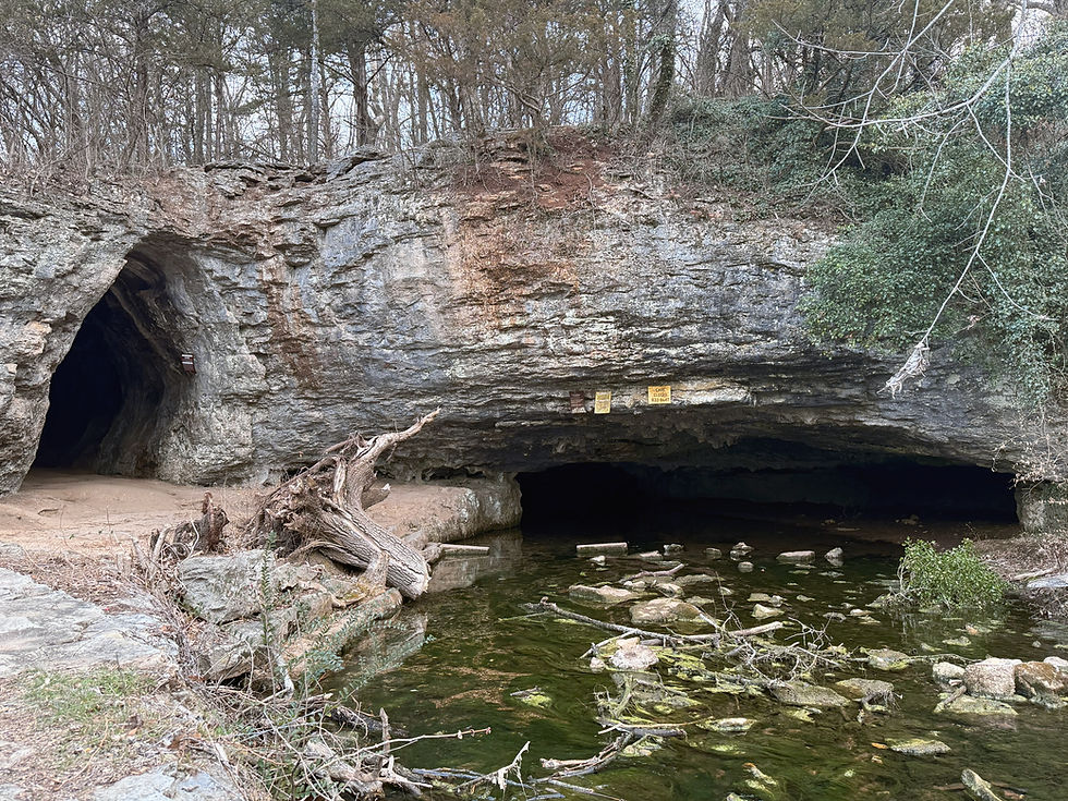 Two cave entrances at Sequiota Park. A tall, narrow entrance is at left. A short, wider entrance is at right--this is Sequiota Cave. A spring issues from Sequiota Cave. Signs on the cave indicate that it is closed to the public.