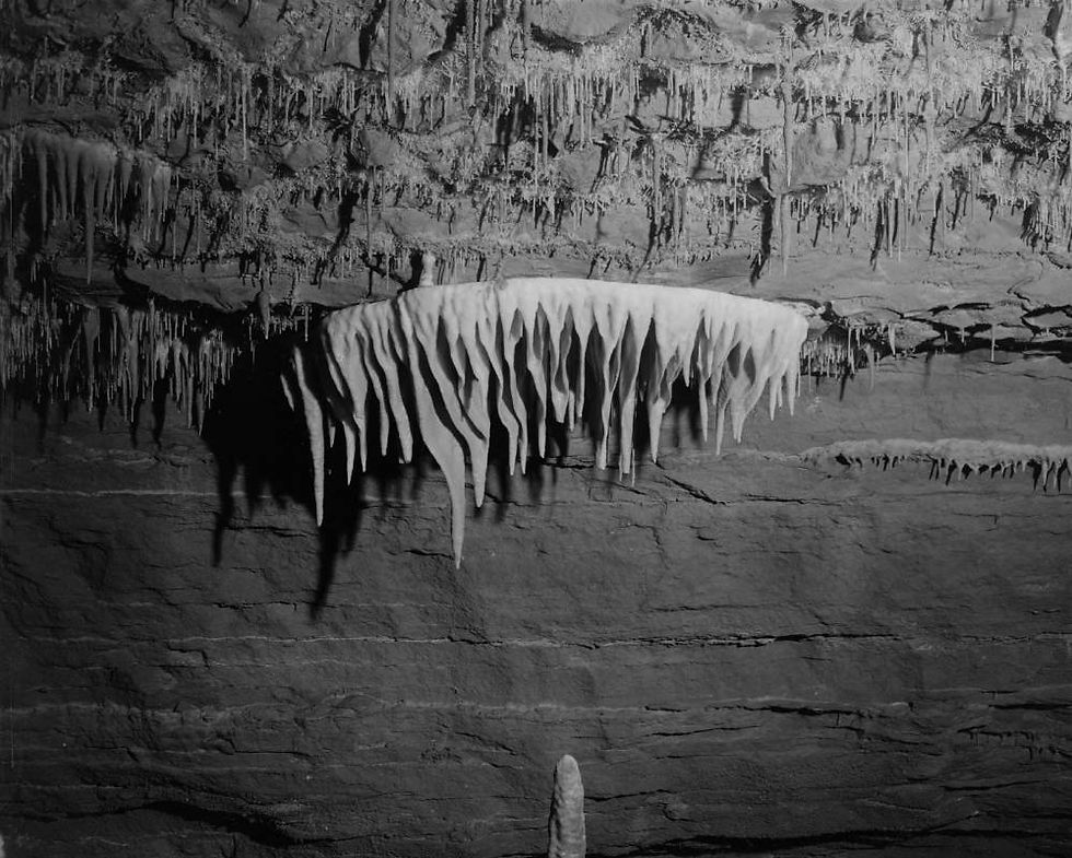 A black and white photograph of a limestone curtain formation hanging from the ceiling of a cave.