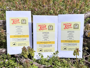 Native Wildflower Seeds at Your Library
