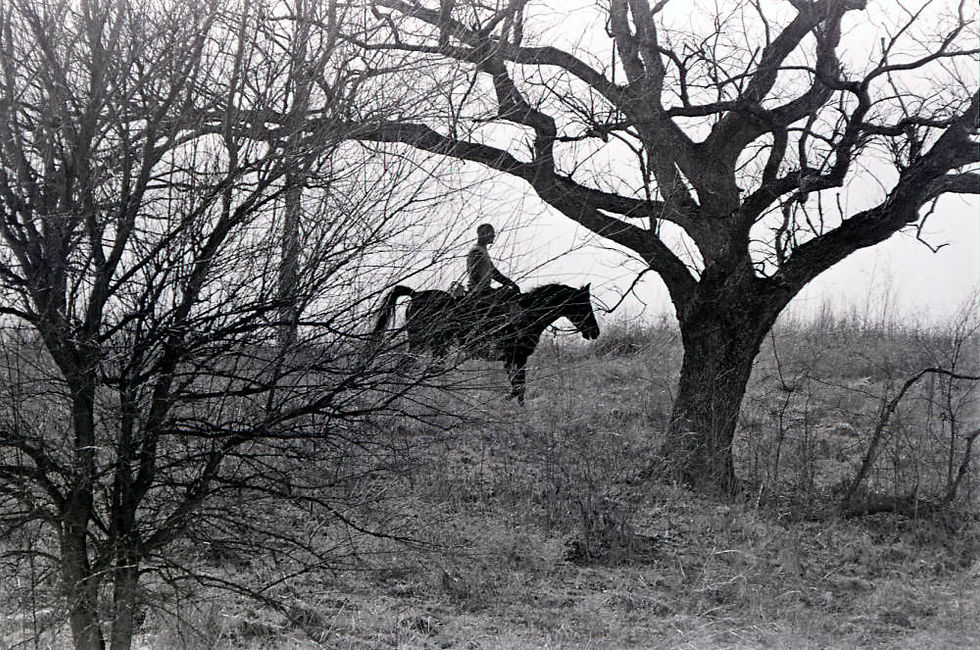 A black and white photograph of a man riding a horse amid bare trees at Wilson's Creek National Battlefield.