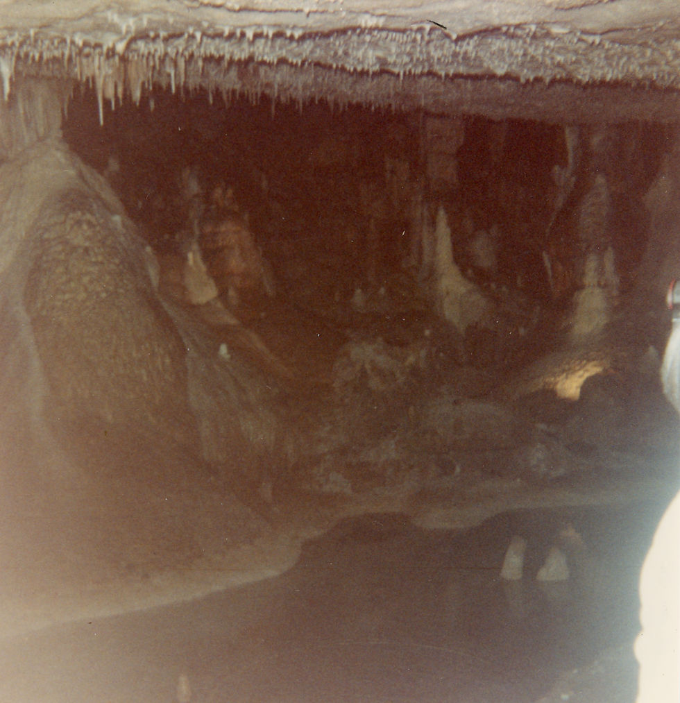 A color photograph of a room within Fantastic Caverns. A pool of water sits at the base of the room and stalactites hang from the ceiling. Stalagmites and columns fill the room beyond the body of water.