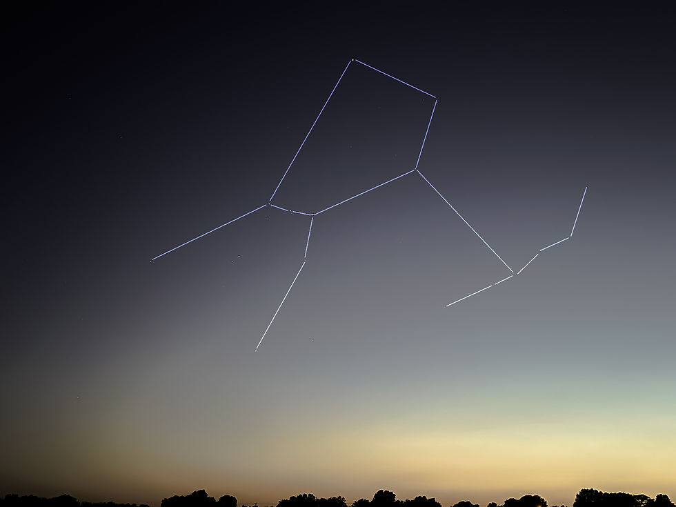 The constellation Orion in a dusky sky.