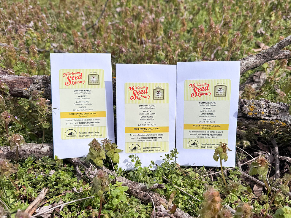 Three packets from the Springfield-Greene County Library's Heirloom Seed Library are propped up on a stick on the ground. Grass and native flowers grow around the packets.