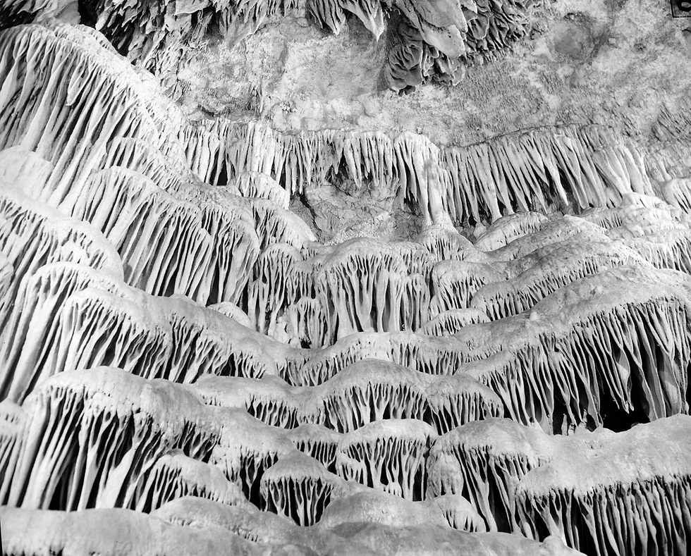 A black and white photograph of an elaborate limestone drapery formation found in Camdenton, Missouri's Bridal Cave.