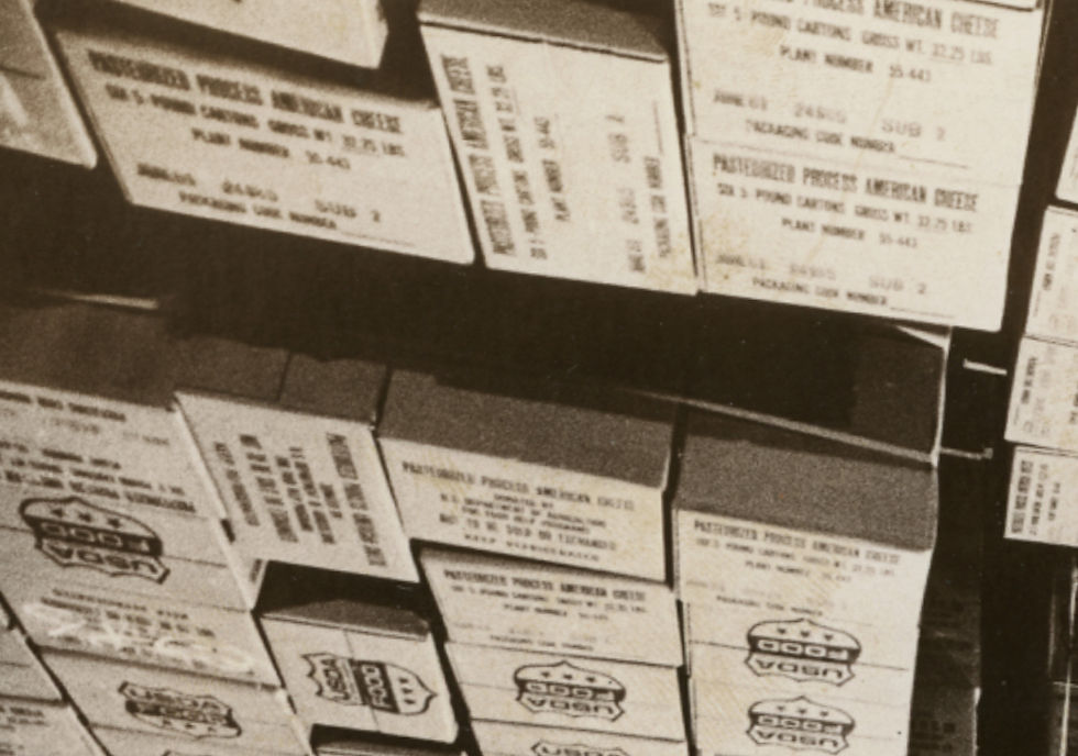 Detail of boxes in the previous photo. Text on boxes reads "Pasteurized Process American Cheese." The USDA logo is visible on several boxes.
