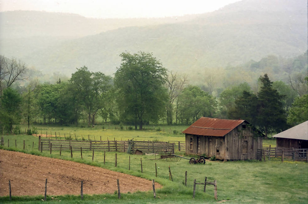 Farmland in the Boxley Valley of Northwest Arkansas. The forested landscape in the background is the muted green of spring or summer. Freshly tilled earth is surrounded by a simple, low fence. An outbuilding with a rusted tin roof is flanked by various farming implements.