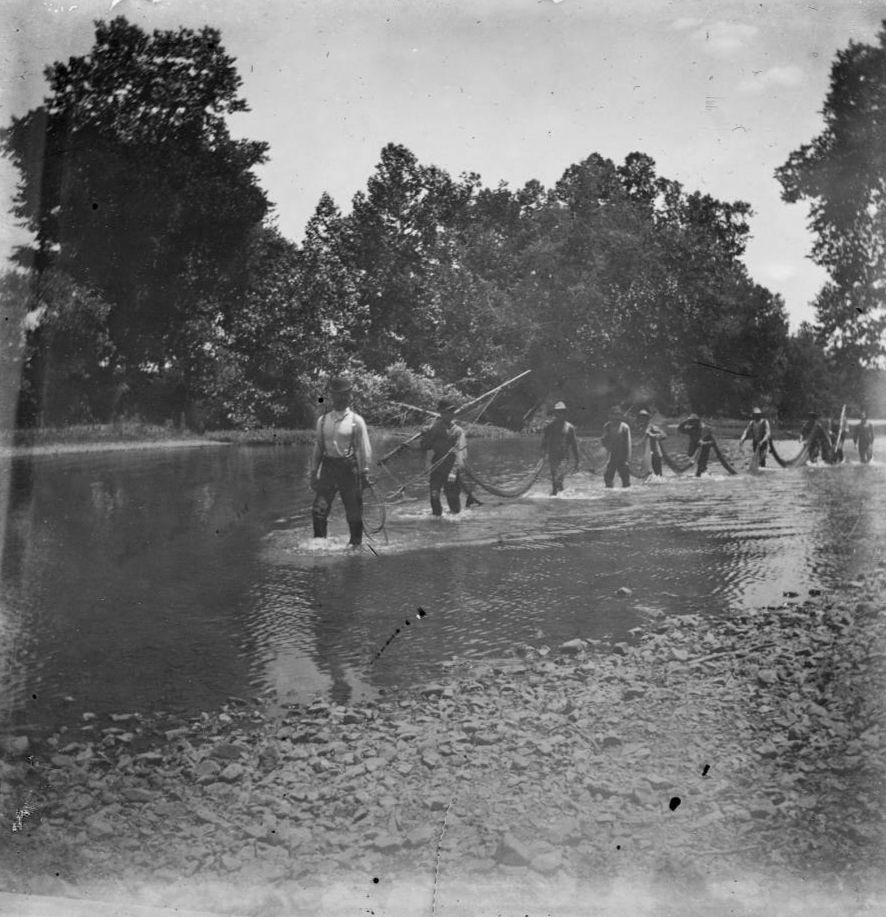 A black and white photograph from around the year 1900 of men carrying a net as they wade through a river, likely the James River just east of Springfield.