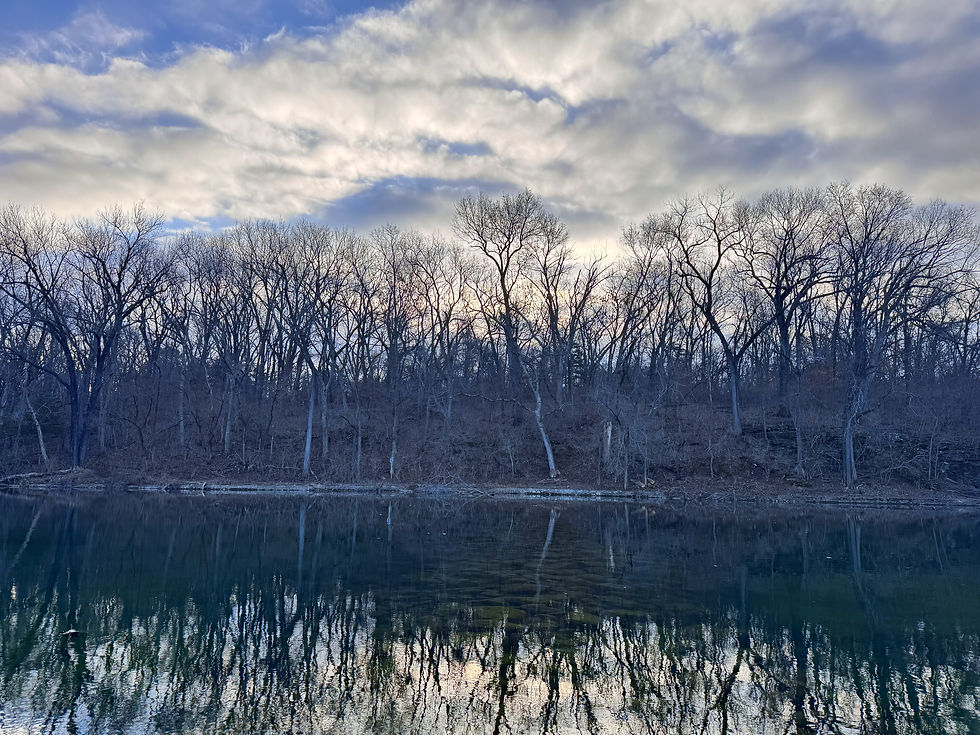 Dawn breaks over the pond at Sequiota Park. Photograph by Brandon Broughton, 2026.