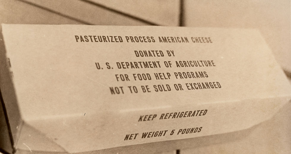 A block of government cheese. Text on packaging reads "Pasteurized Process American Cheese. Donated by U. S. Department of Agriculture For Food Help Programs. Not To Be Sold or Exchanged. Keep Refrigerated. Net Weight 5 Pounds.