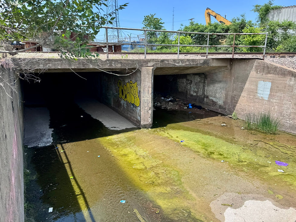 A concrete culvert with algae green water flows beneath a concrete footbridge