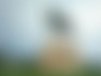 Mounted monument of a man on a horse standing in the middle of a grassy field