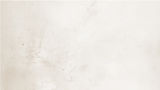 pto_background.jpg